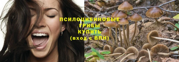 ALPHA PVP Верхний Тагил