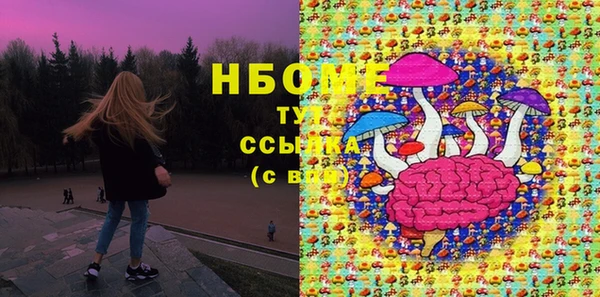 тгк Бородино