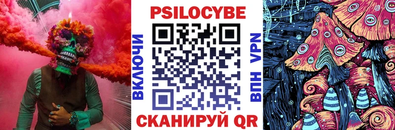 kraken зеркало  Петров Вал  Галлюциногенные грибы Magic Shrooms 